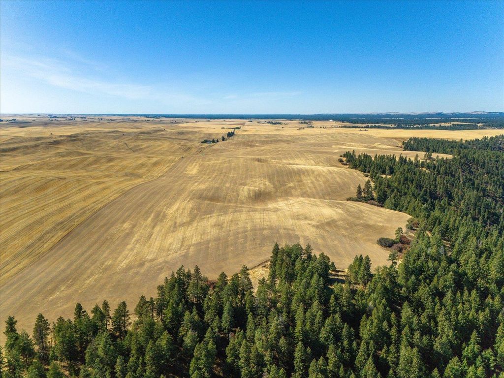 XXX E Cornwall Rd, Spangle, WA 99031 photo 24