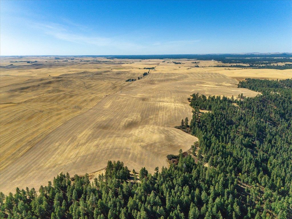 XXX E Cornwall Rd, Spangle, WA 99031 photo 25