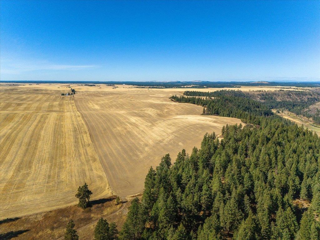 XXX E Cornwall Rd, Spangle, WA 99031 photo 26