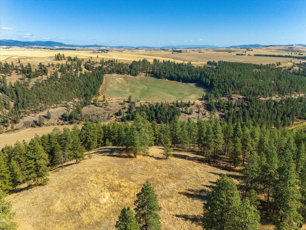 XXX E Cornwall Rd, Spangle, WA 99031 photo 27