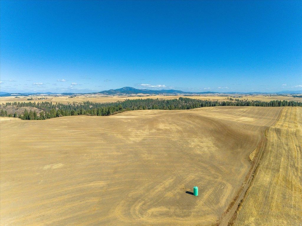 XXX E Cornwall Rd, Spangle, WA 99031 photo 28