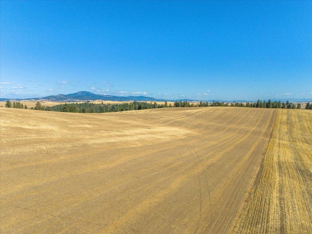 XXX E Cornwall Rd, Spangle, WA 99031 photo 31