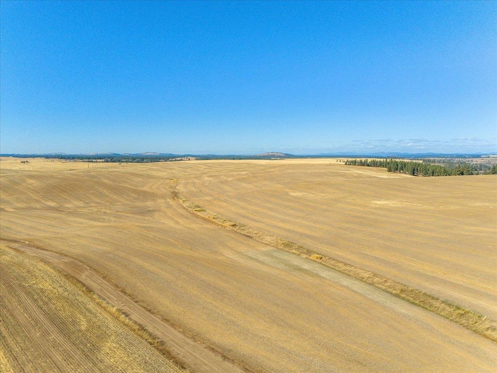 XXX E Cornwall Rd, Spangle, WA 99031 photo 32