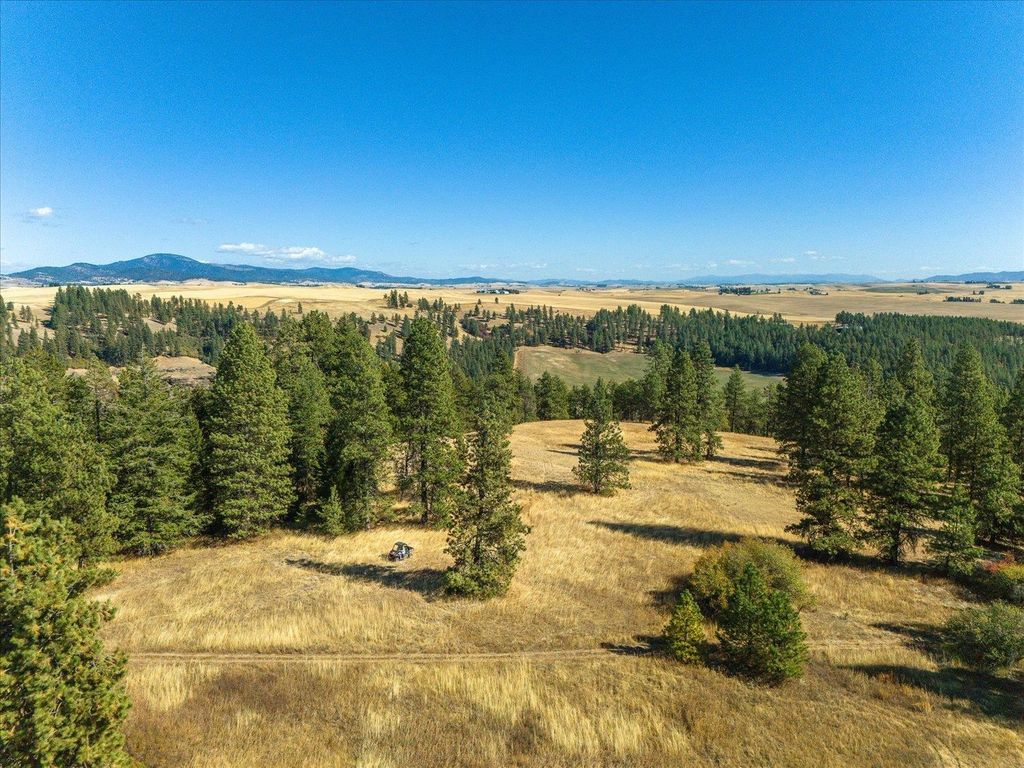 XXX E Cornwall Rd, Spangle, WA 99031 photo 34