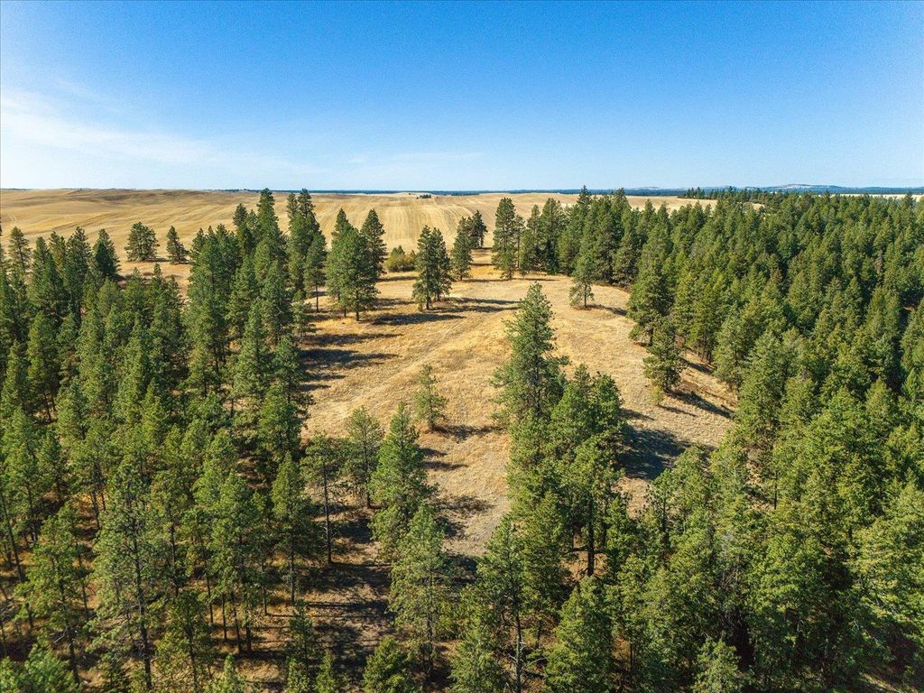 XXX E Cornwall Rd, Spangle, WA 99031 photo 35