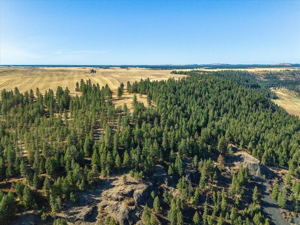 XXX E Cornwall Rd, Spangle, WA 99031 photo 36