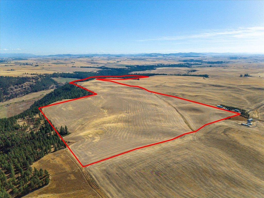XXX E Cornwall Rd, Spangle, WA 99031 photo 5