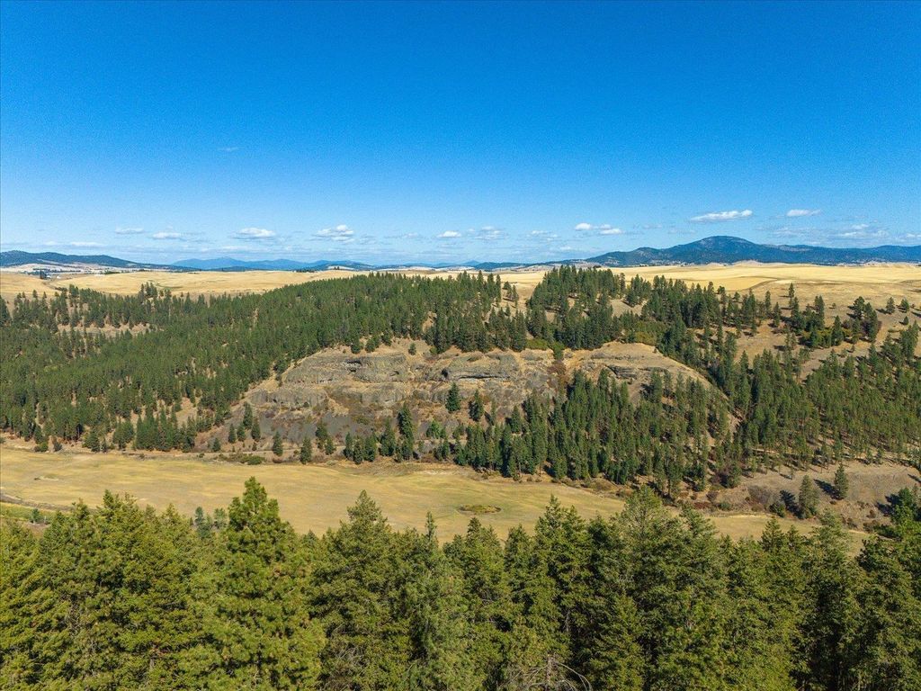 XXX E Cornwall Rd, Spangle, WA 99031 photo 39