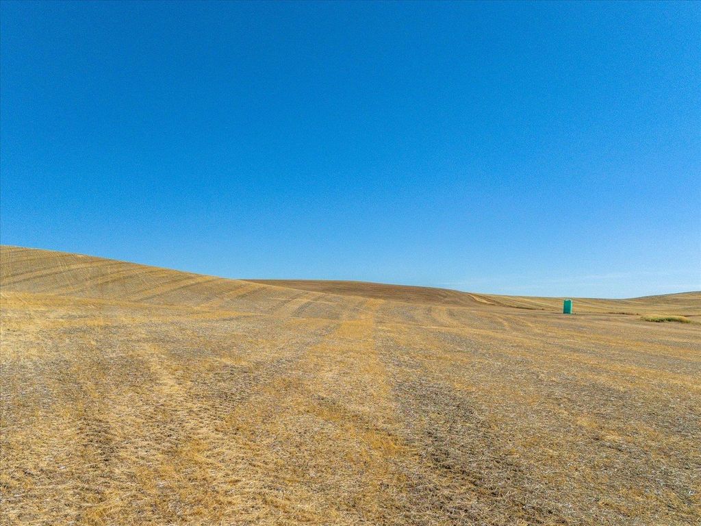 XXX E Cornwall Rd, Spangle, WA 99031 photo 42