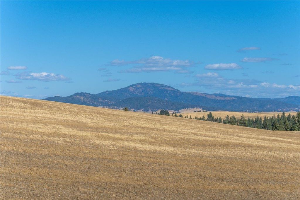 XXX E Cornwall Rd, Spangle, WA 99031 photo 43