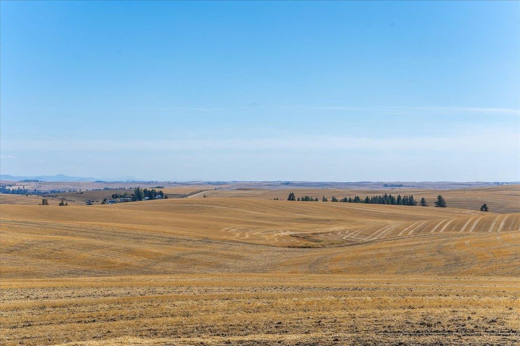 XXX E Cornwall Rd, Spangle, WA 99031 photo 44