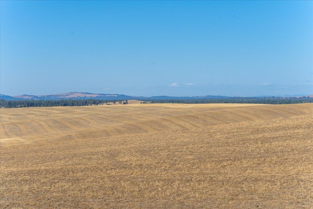 XXX E Cornwall Rd, Spangle, WA 99031 photo 45
