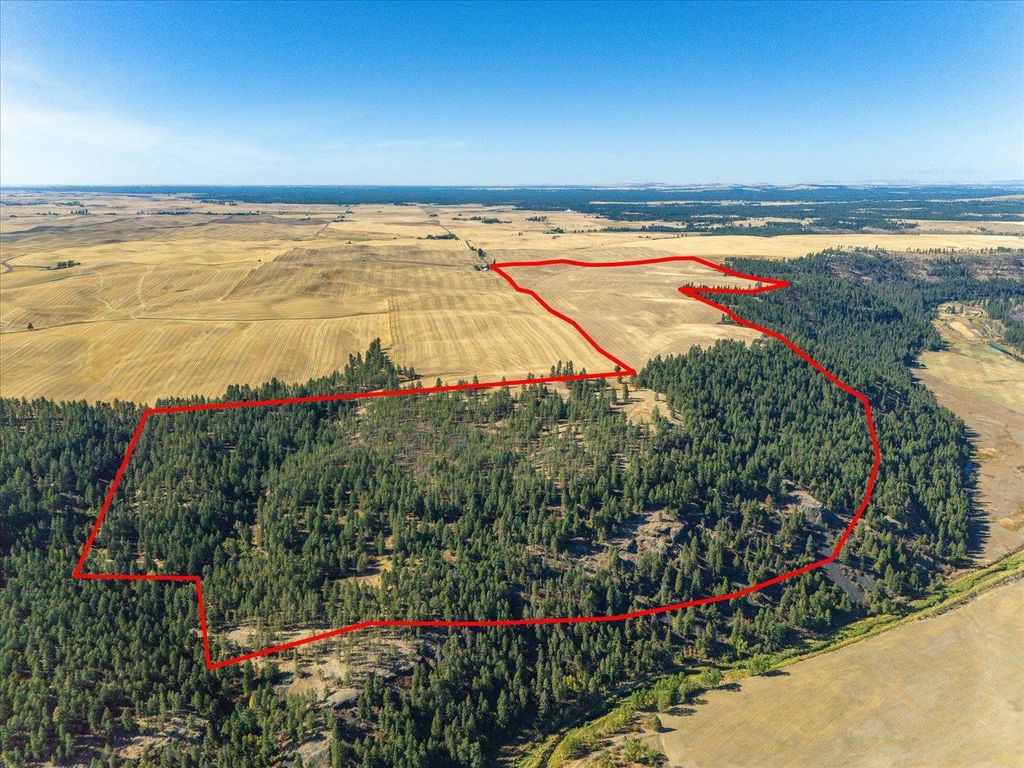 XXX E Cornwall Rd, Spangle, WA 99031 photo 6