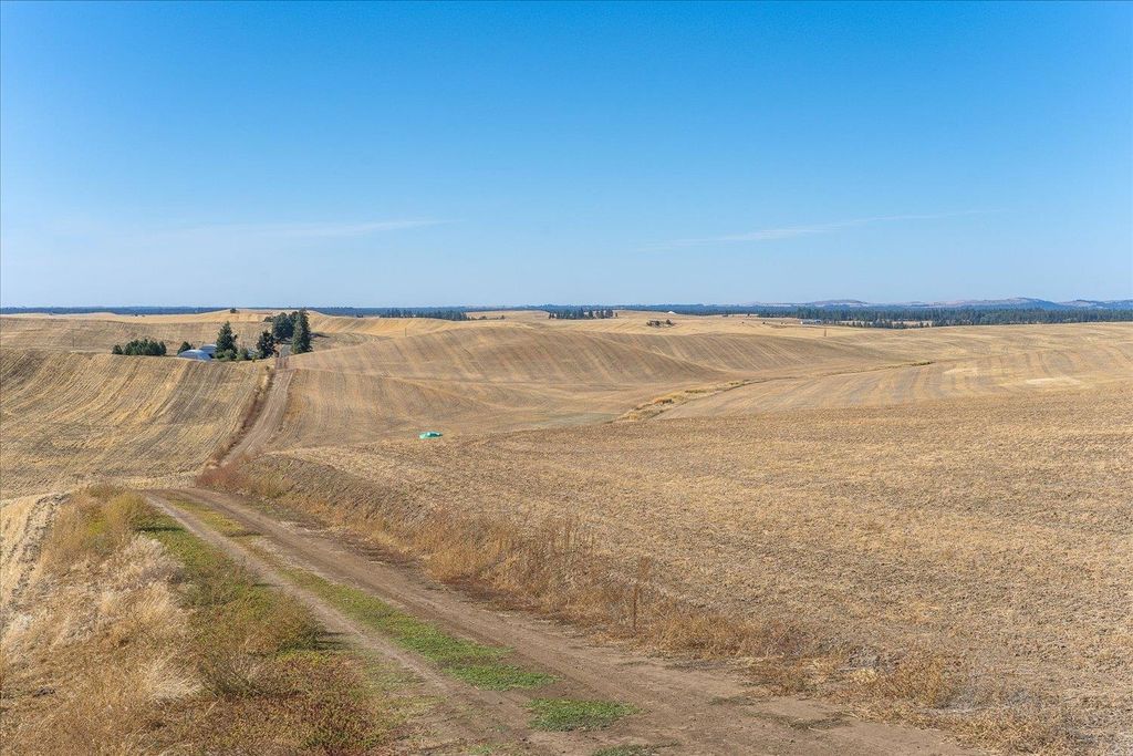 XXX E Cornwall Rd, Spangle, WA 99031 photo 7