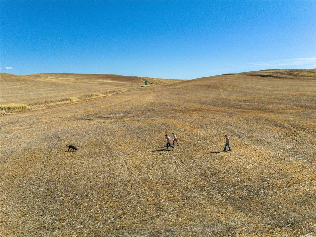 XXX E Cornwall Rd, Spangle, WA 99031 photo 10