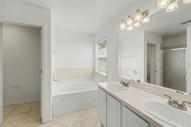 19431 SANDY SPRINGS CIRCLE, Lutz, FL 33558