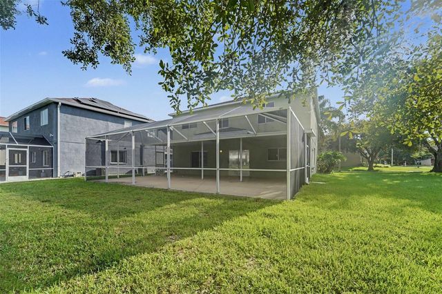 19431 SANDY SPRINGS CIRCLE, Lutz, FL 33558