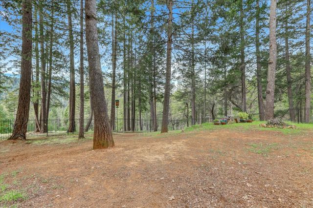 10973 Scotts Flat Dam Rd, Nevada City, CA 95959