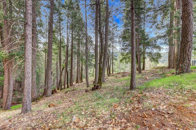 10973 Scotts Flat Dam Rd, Nevada City, CA 95959