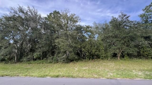 TBD SW 146TH LANE ROAD, Ocala, FL 34473