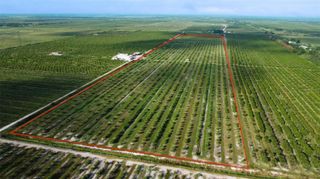 SE HWY 31, Arcadia, FL 34266