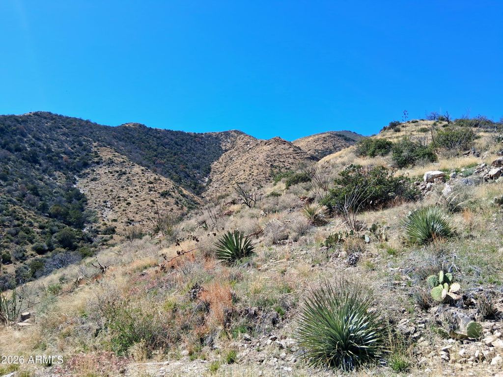 Image 19 of property listing at 50 Limited Use-Access -- 23, Benson, AZ 85602