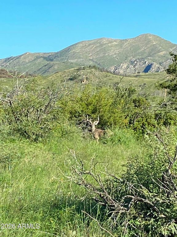 Image 6 of property listing at 50 Limited Use-Access -- 23, Benson, AZ 85602