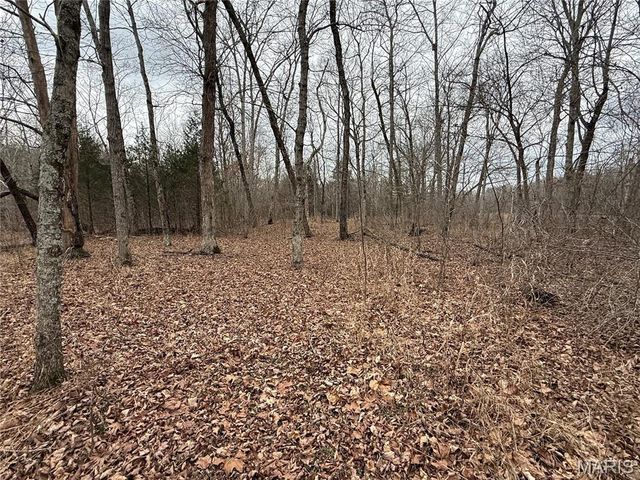 Tract 3 Madison 248, Fredericktown, MO 63645