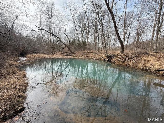 Tract 3 Madison 248, Fredericktown, MO 63645