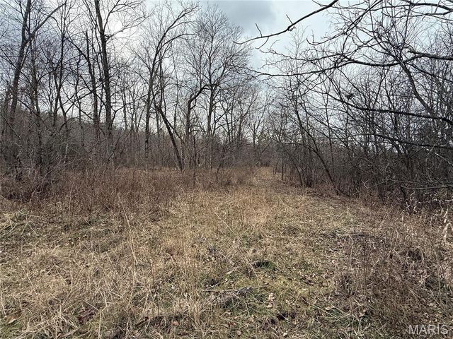 Tract 3 Madison 248, Fredericktown, MO 63645