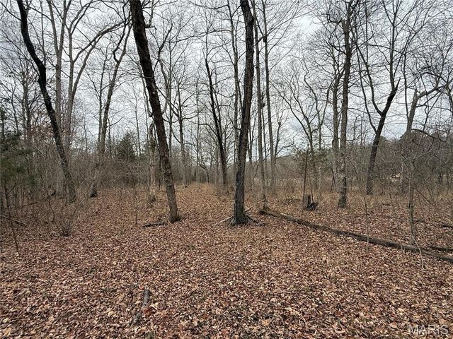 Tract 3 Madison 248, Fredericktown, MO 63645