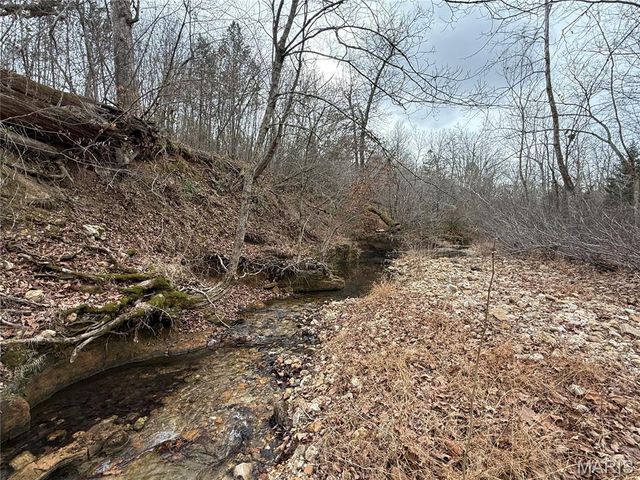 Tract 3 Madison 248, Fredericktown, MO 63645