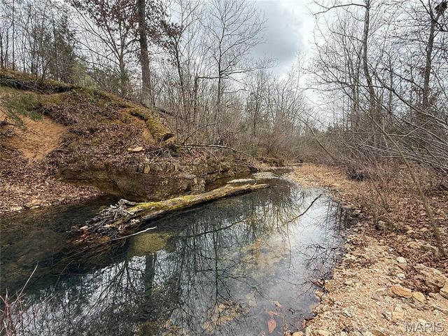 Tract 3 Madison 248, Fredericktown, MO 63645