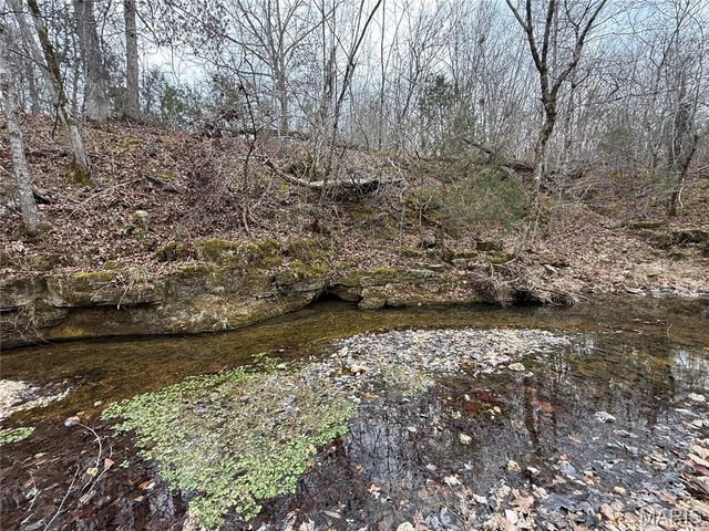 Tract 3 Madison 248, Fredericktown, MO 63645