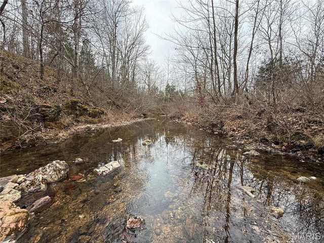 Tract 3 Madison 248, Fredericktown, MO 63645