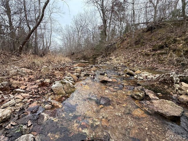 Tract 3 Madison 248, Fredericktown, MO 63645