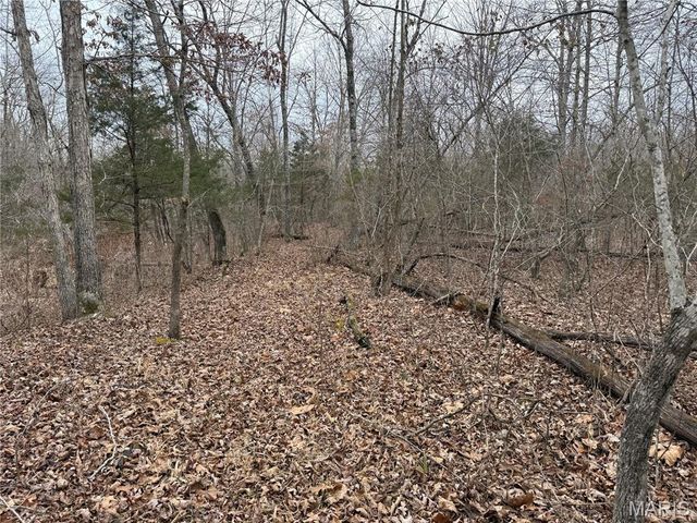 Tract 3 Madison 248, Fredericktown, MO 63645