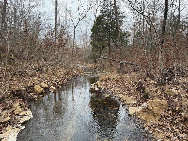 Tract 3 Madison 248, Fredericktown, MO 63645