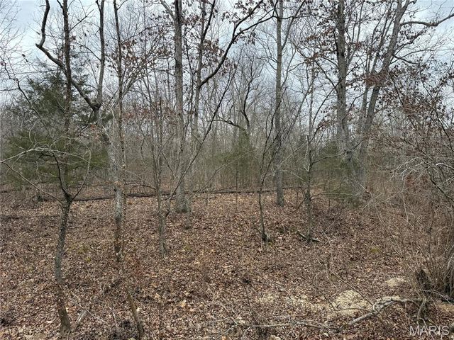 Tract 3 Madison 248, Fredericktown, MO 63645