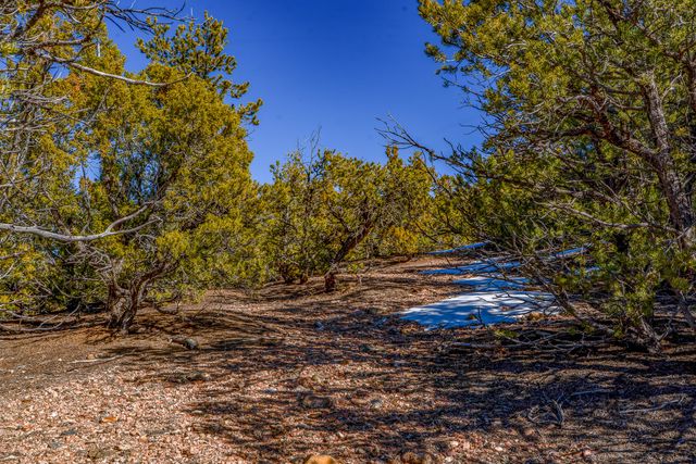 127 Barranca, Santa Fe, NM 87501