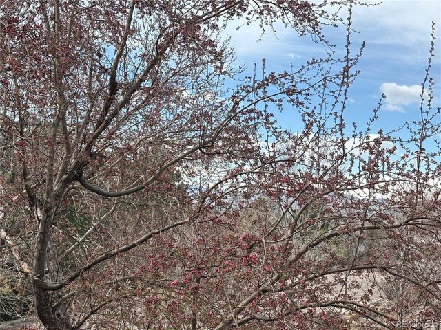 804 S Vance St C, Lakewood, CO 80226