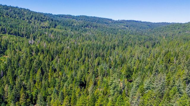 17017 Oregon Hill Rd, Challenge, CA 95925