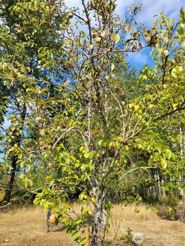 16314 160th Street NW, Gig Harbor, WA 98329