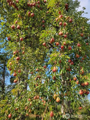 16314 160th Street NW, Gig Harbor, WA 98329