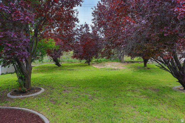 1484 E 1250 S, Ogden, UT 84404