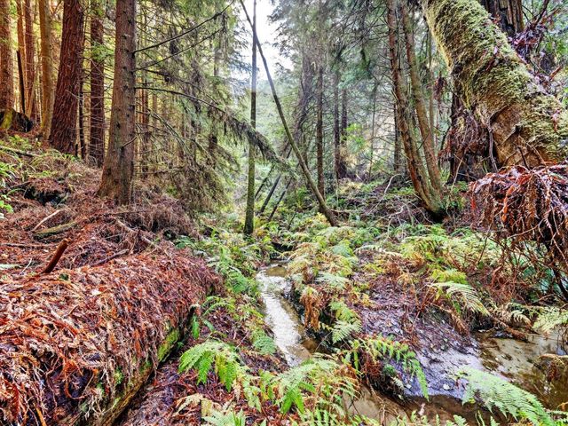 19400 Dorffi Rd, Fort Bragg, CA 95437