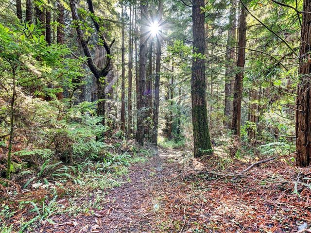 19400 Dorffi Rd, Fort Bragg, CA 95437