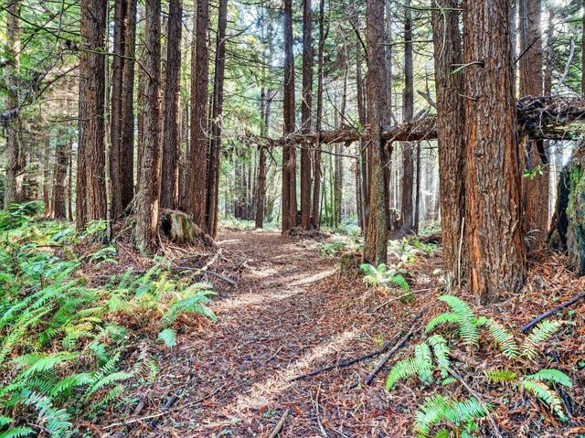 19400 Dorffi Rd, Fort Bragg, CA 95437