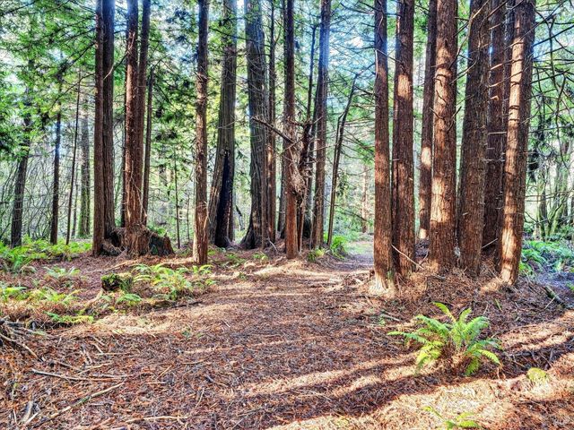 19400 Dorffi Rd, Fort Bragg, CA 95437