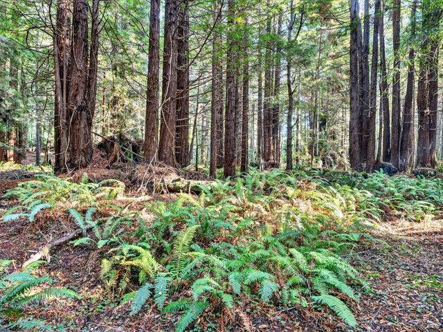 19400 Dorffi Rd, Fort Bragg, CA 95437